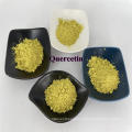 Natural Bulk Pure Sophora Japonica Extract Genistein Powder